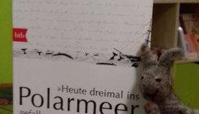 „Heute dreimal ins Polarmeer gefallen“. Tagebuch einer arktischen Reise